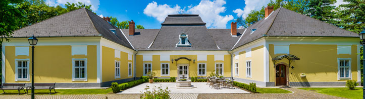 P92 Sponsors IMA Europe 2015 Planning Retreat at Pronay Castle